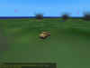 Rotty's Field Day
